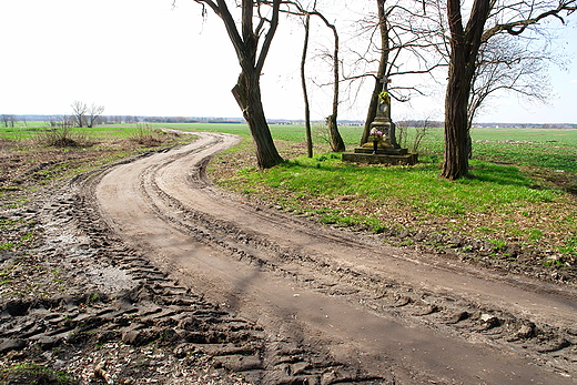 Polna droga. Rzeszwek