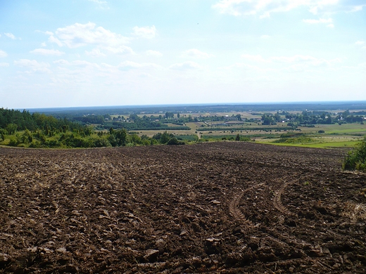 Widok na Nieck Woszczowsk w sierpniu