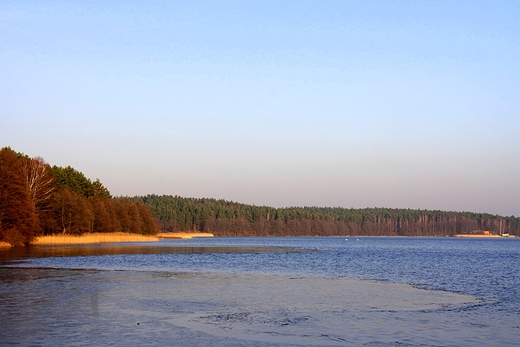 Jezioro Lubowidzkie