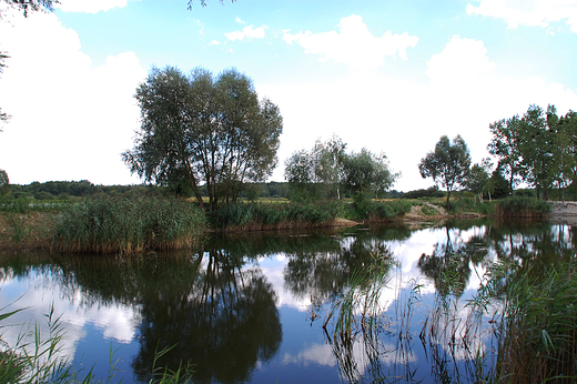 Krapkowice - nad jeziorem Gold