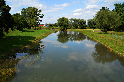 Krapkowice - Ujcie Osobogi do Odry