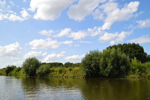 Krapkowice - Prawy brzeg odry