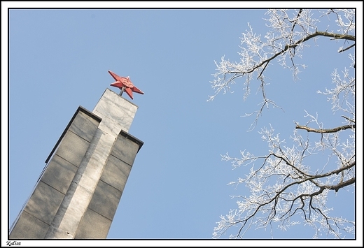 Kalisz - Park Miejski _ zima 2016