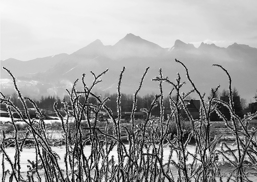 Widok z Jurgowa na Tatry