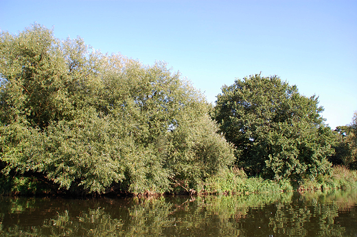 Krapkowice - nad odr