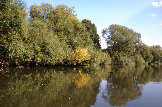 Krapkowice - nad odr