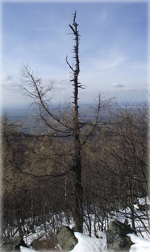 Na szczycie ly- widoki