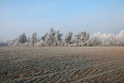 Krajobraz okolic Lisa Młynu