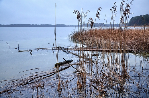Wigierski PN, pierwszy dzie wiosny