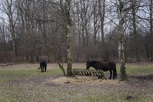 Wielkanoc na lsku - Grnolski Park Etnograficzny