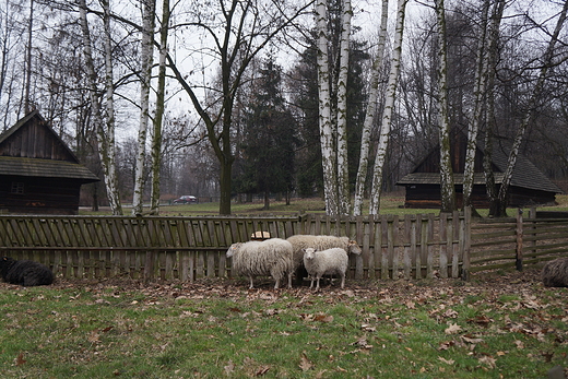 Wielkanoc na Śląsku - Górnośląski Park Etnograficzny