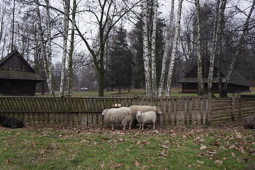 Wielkanoc na lsku - Grnolski Park Etnograficzny