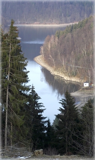 Widoki z wieży ulokowanej nad jeziorem Lubachowskim