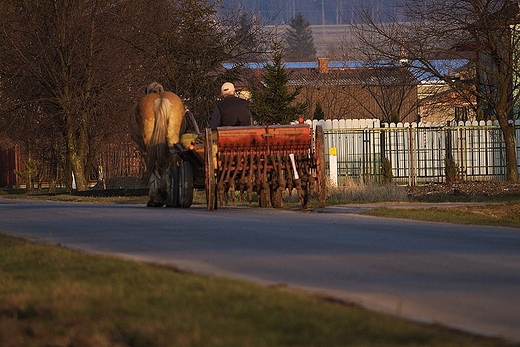 abunie. Wiosna czas siewu.