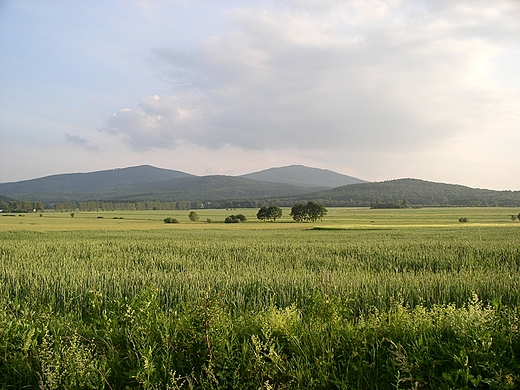 Panorama Gr Opawskich