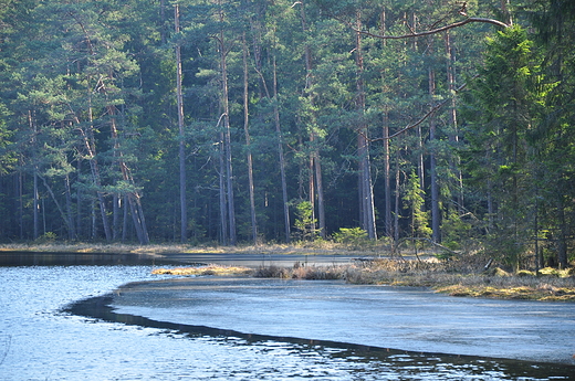 Wigierskie widoki