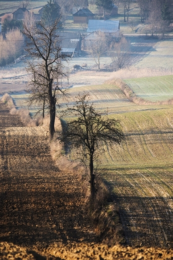 Grzda Sokalska. Marzec