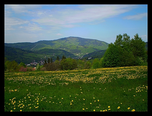 Widok na Czantori ze szlaku na Kamienny