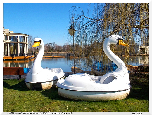 Michaowice. dki przed hotelem Venecia Palace