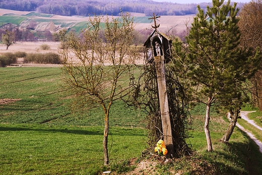 Kapliczka z okolic Iowca