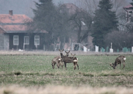 Najlepsze spotkania o wicie...