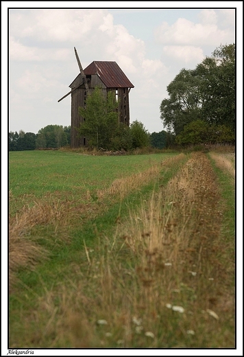 Aleksandria - wiatrak kolak z 1887 r.