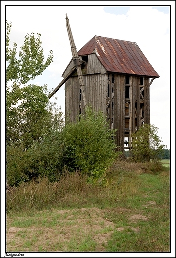 Aleksandria - wiatrak kolak z 1887 r.