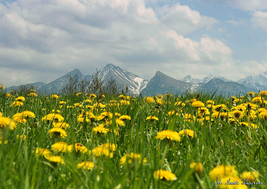 Tatry Bielskie