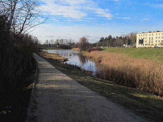 KASZOWNIK w Toruniu