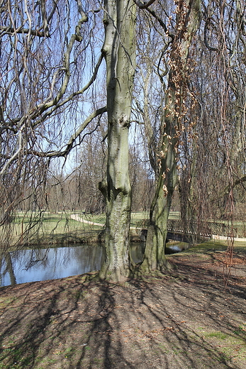 Park Muakowski niemiecka knica - Bad Muskau