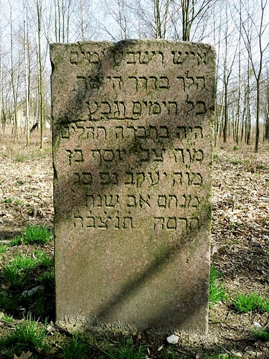 Pozostałości żydowskiej nekropolii