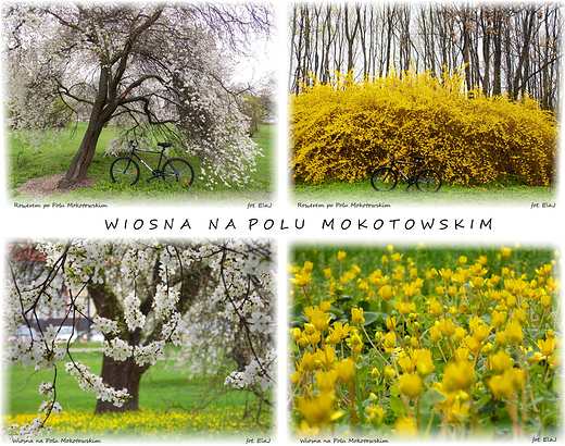 Warszawa. 4 X Wiosna na Polu Mokotowskim