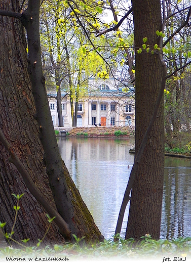 Warszawa. Wiosna w azienkach