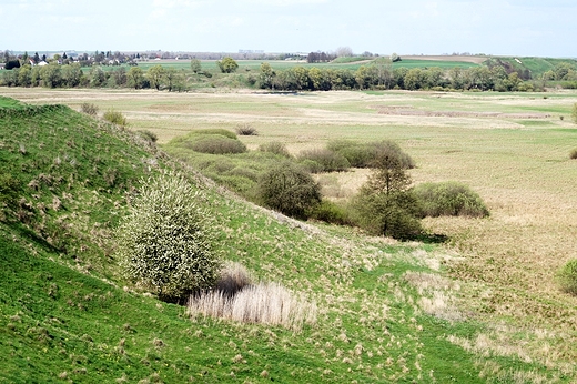 Nadburzaskie okolice