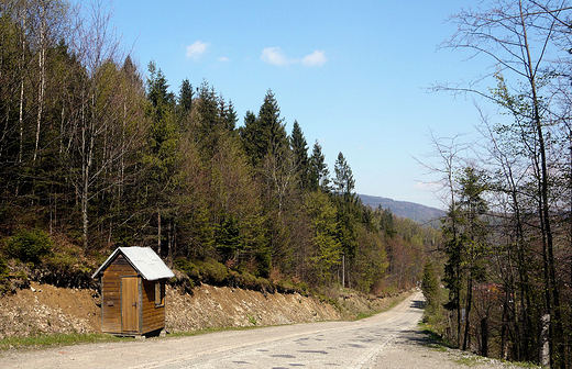 Beskid lski. Droga na Soszw.