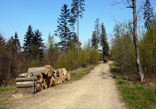 Beskid lski. Droga na Soszw.