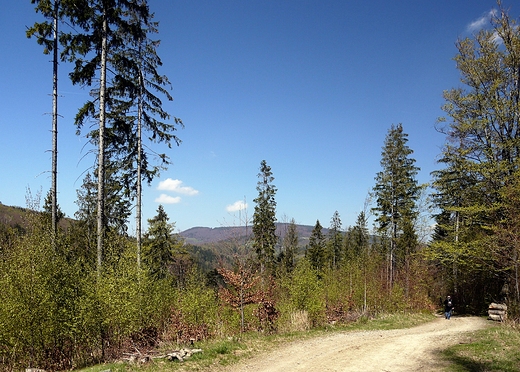 Beskid lski. W drodze na Soszw.