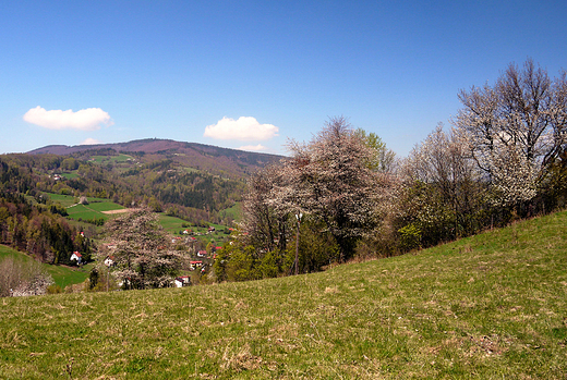 Beskid lski. Wiosna w okolicach Soszowa.