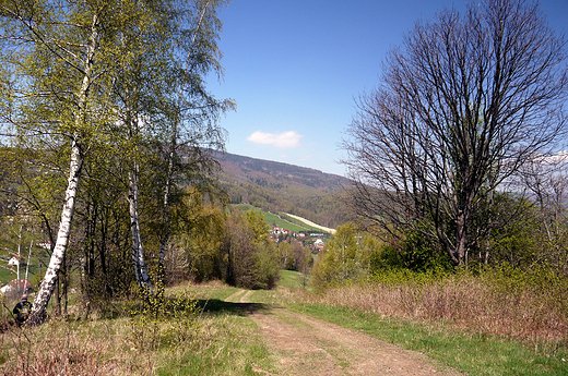 Beskid lski. W drodze na Soszw.