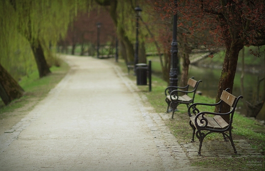 Park Ksit Pomorskich.