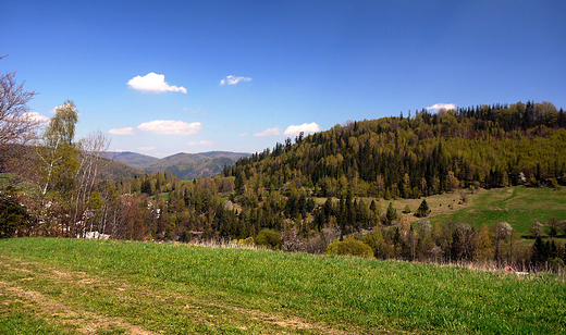 Beskid lski w okolicy Wisy.