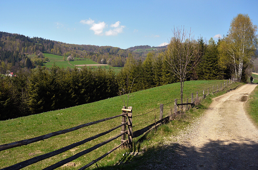 Beskid lski. W drodze na Soszw.