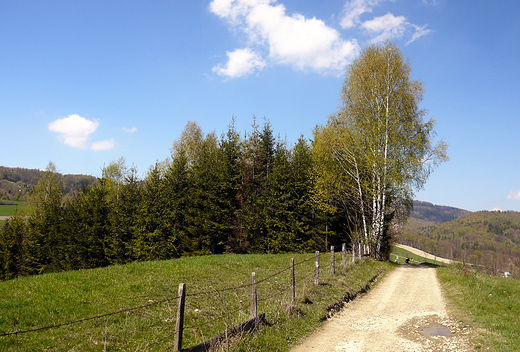 Beskid lski. Droga na Soszw.