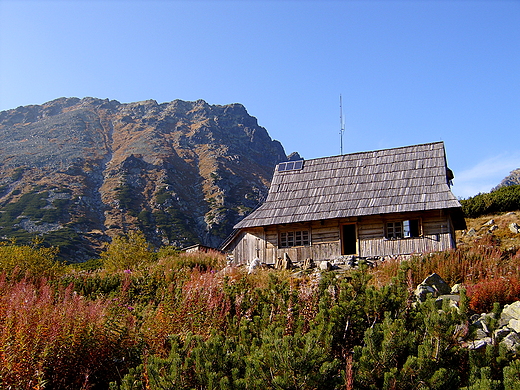 W Dolinie Piciu  Staww. Tatry