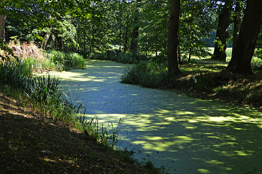 Moszna - kana wodny w parku