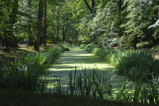 Moszna - kanał wodny w parku