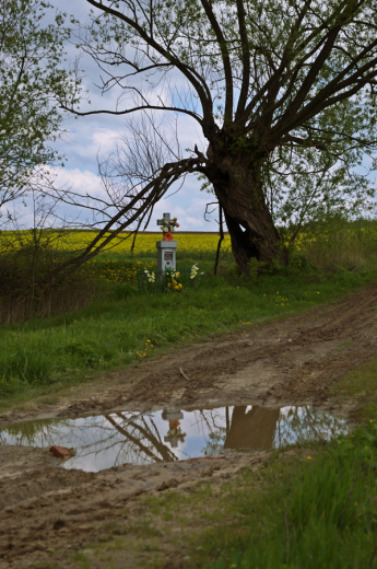 mijowiska. Majowe klimaty