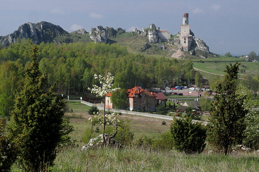 Wzgrze zamkowe w Olsztynie.