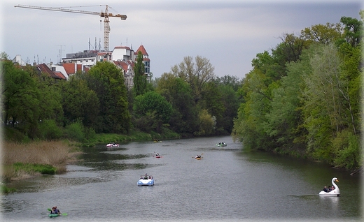 Odra w okolicy mostu Zwierzynieckiego