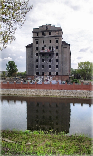 Dawny elewator zboowy nad Kanaem Miejskim